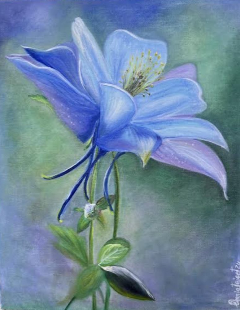 Aquilegia - květ elfů