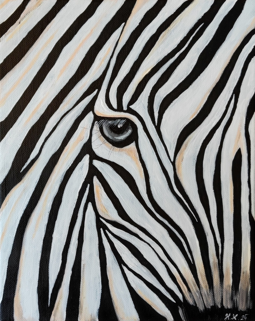Zebra