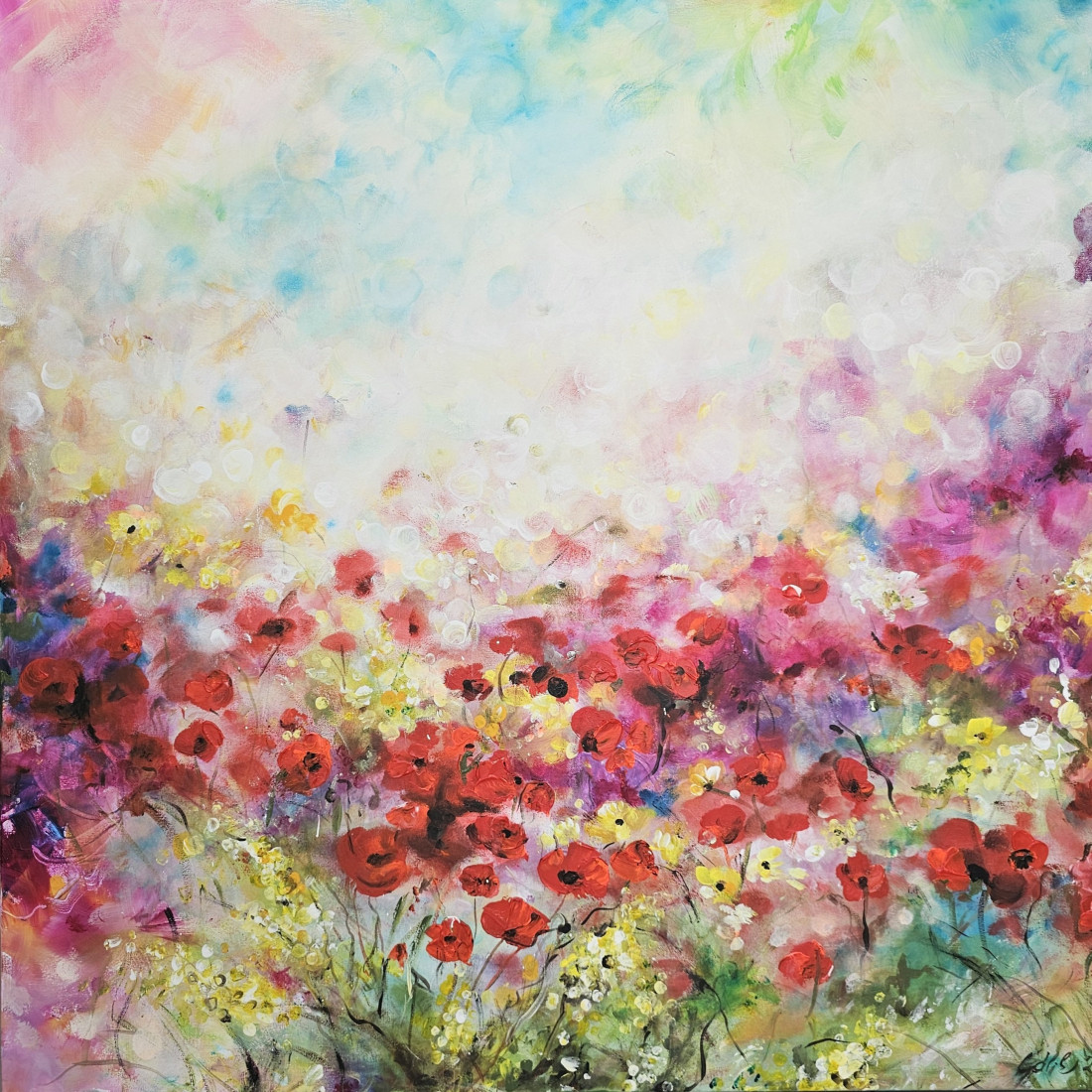 Poppies