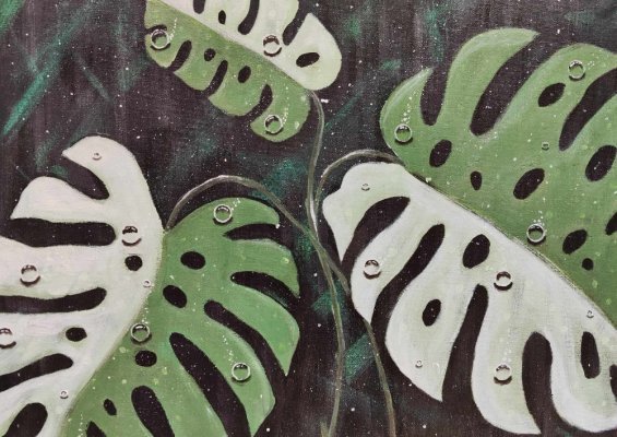 Monstera