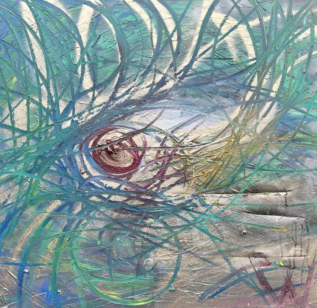 Eye