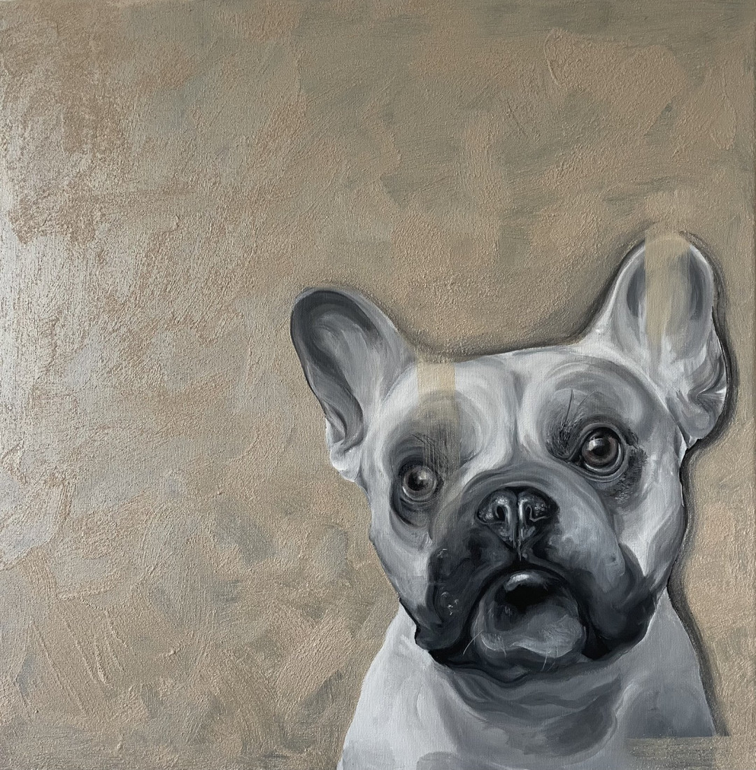 French Dog Face