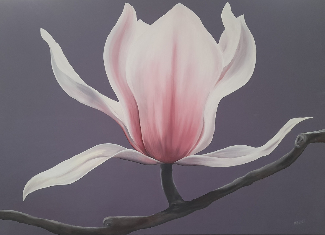Magnolie