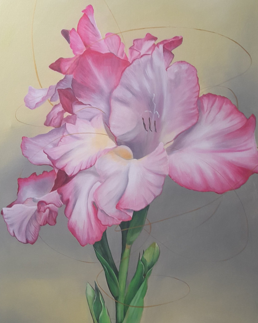 Gladiol