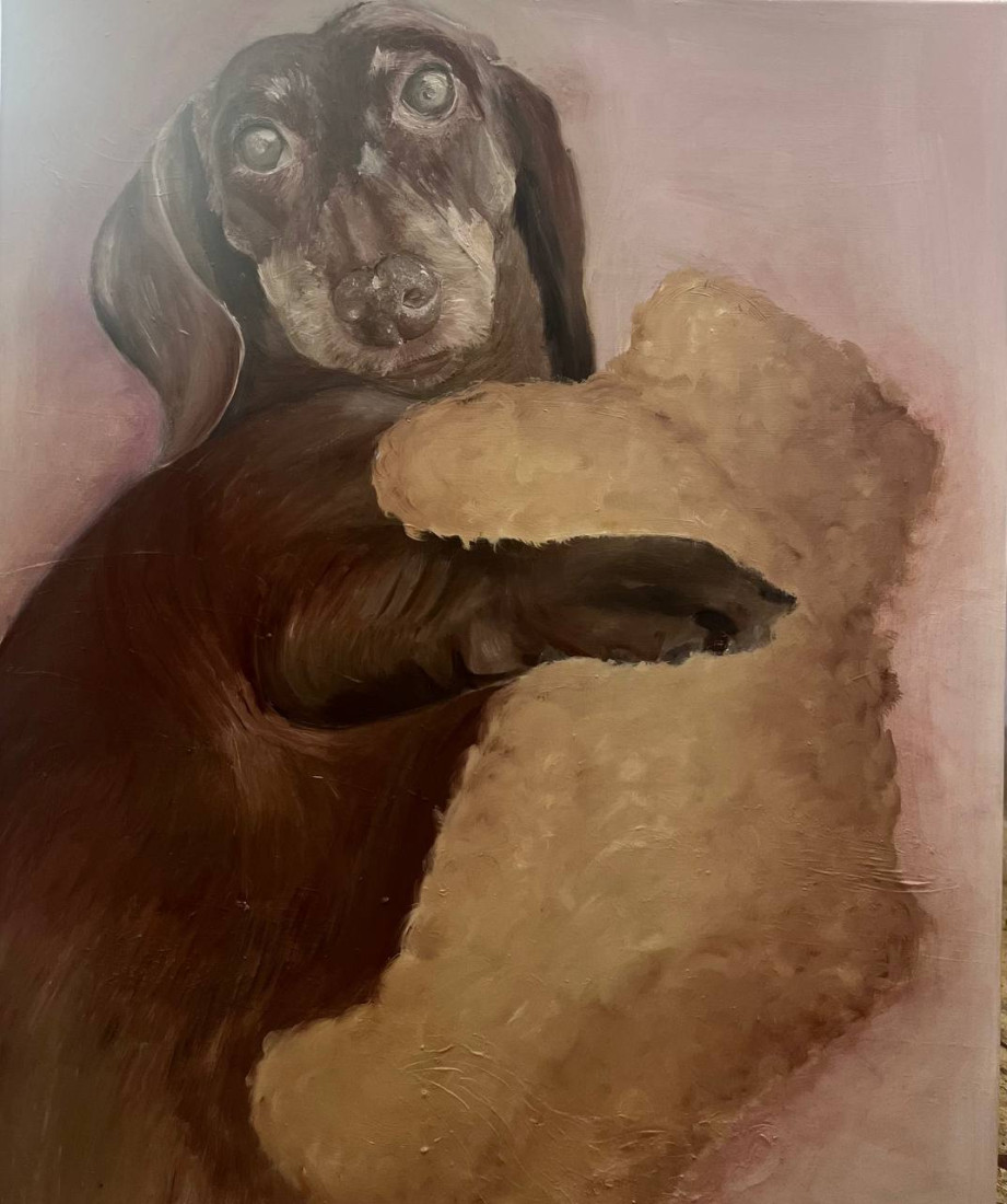 Dachshund