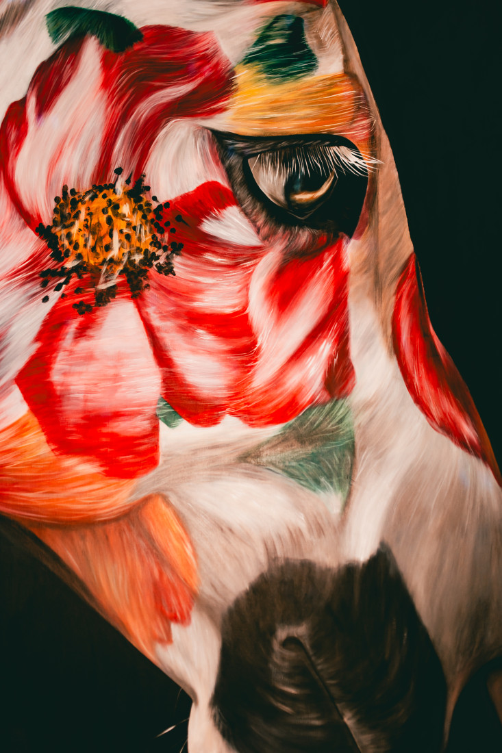 Freedom