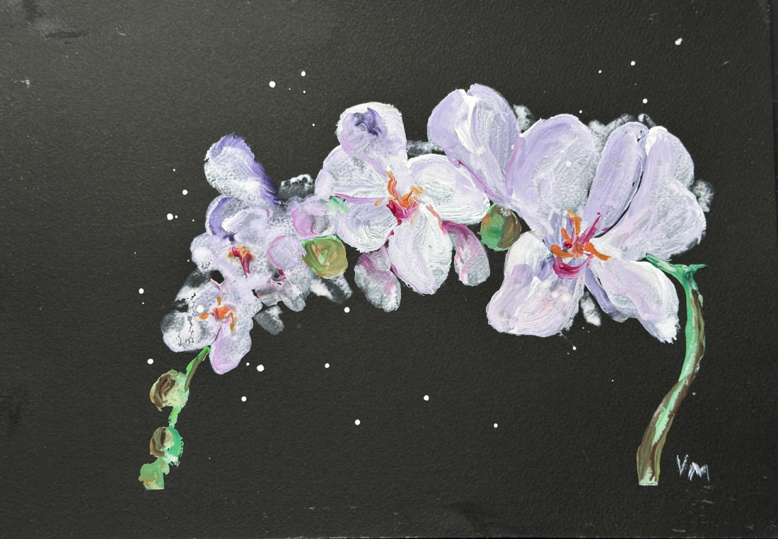 Orchidej
