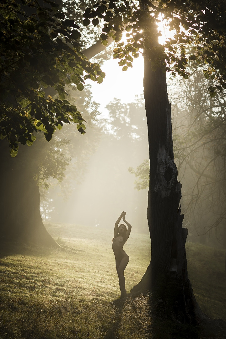 Curves in nature II