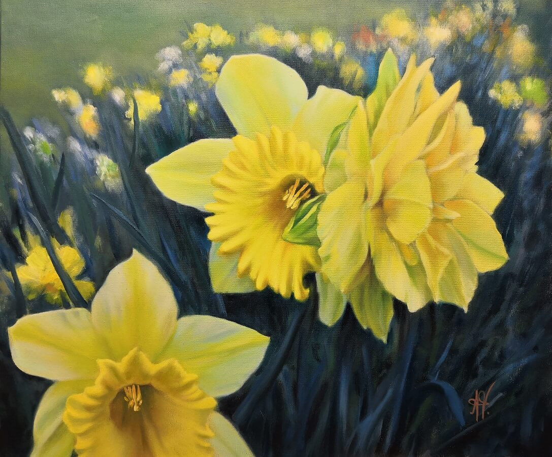 Narcisy