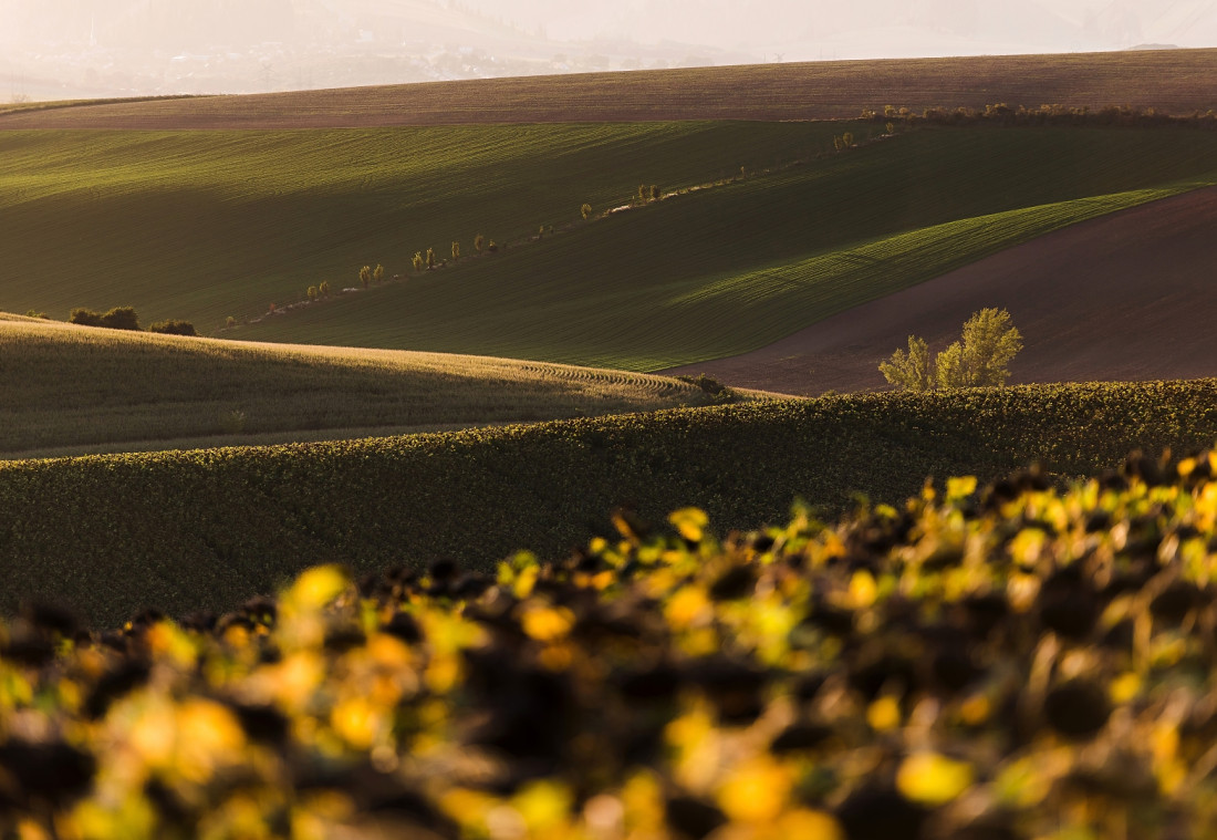 Autumn Moravia II