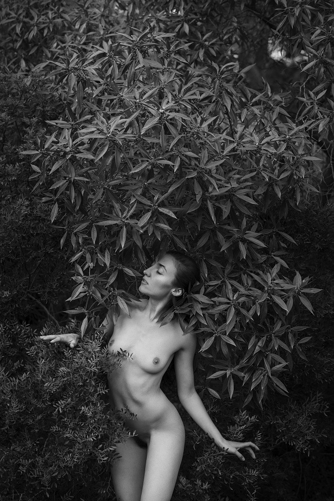 Johanca
