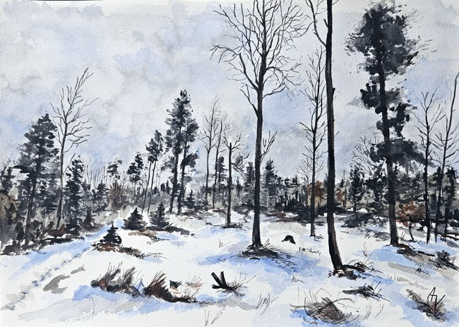 Šumava