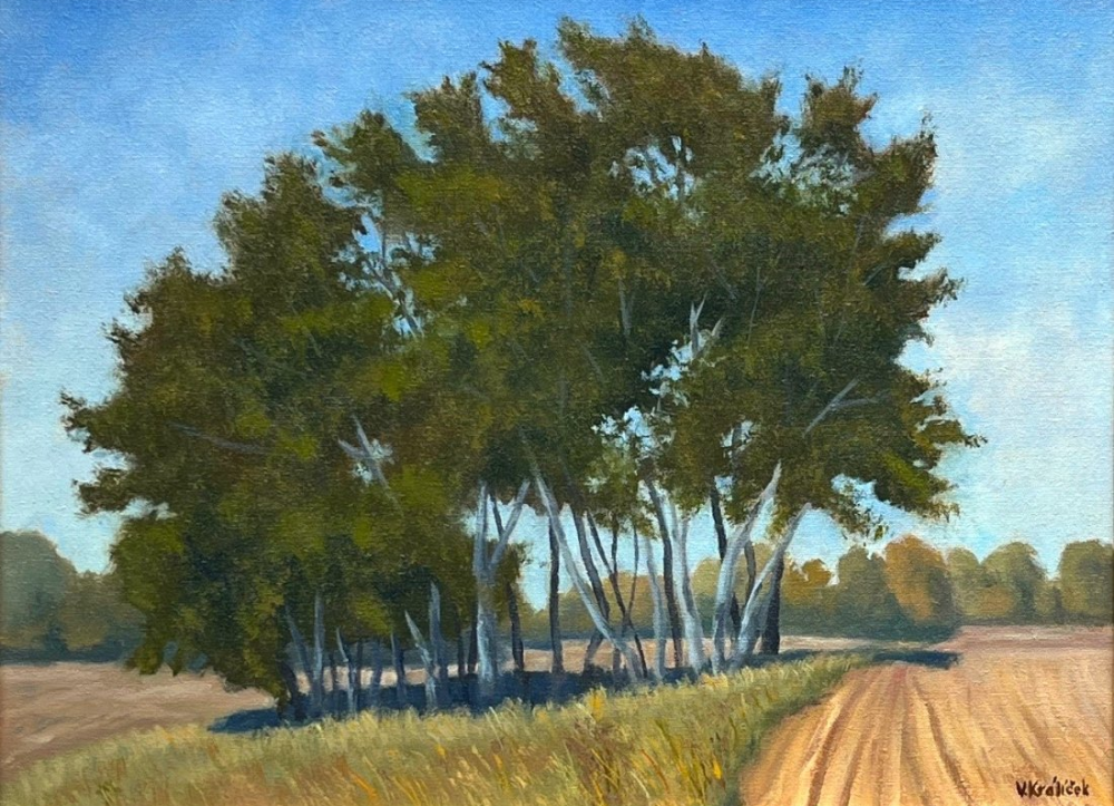 U Matějova 2