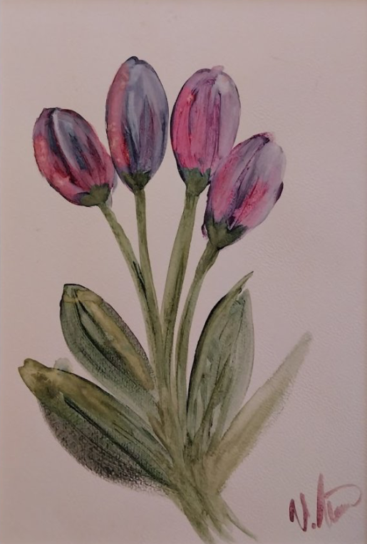 Tulipány