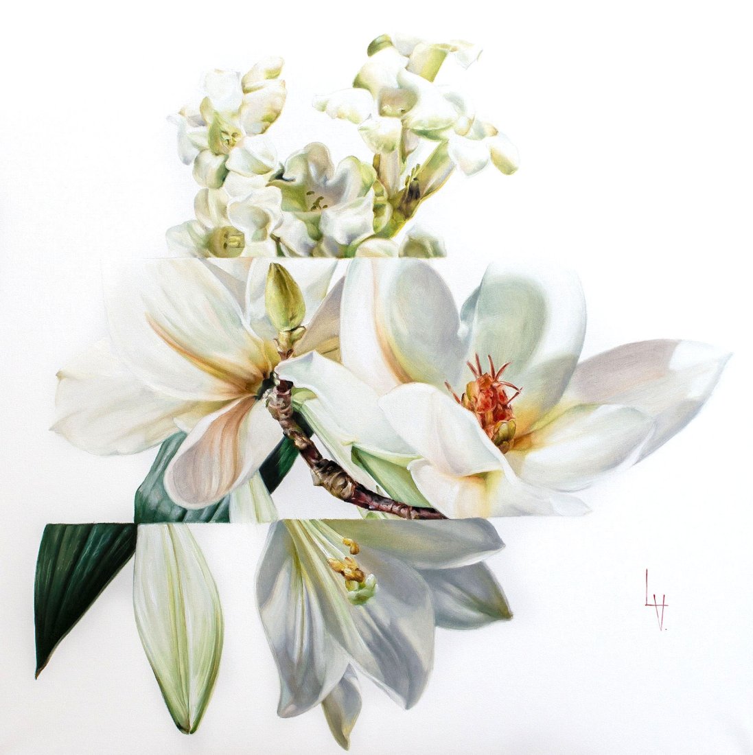 Suzanne’s Lilies