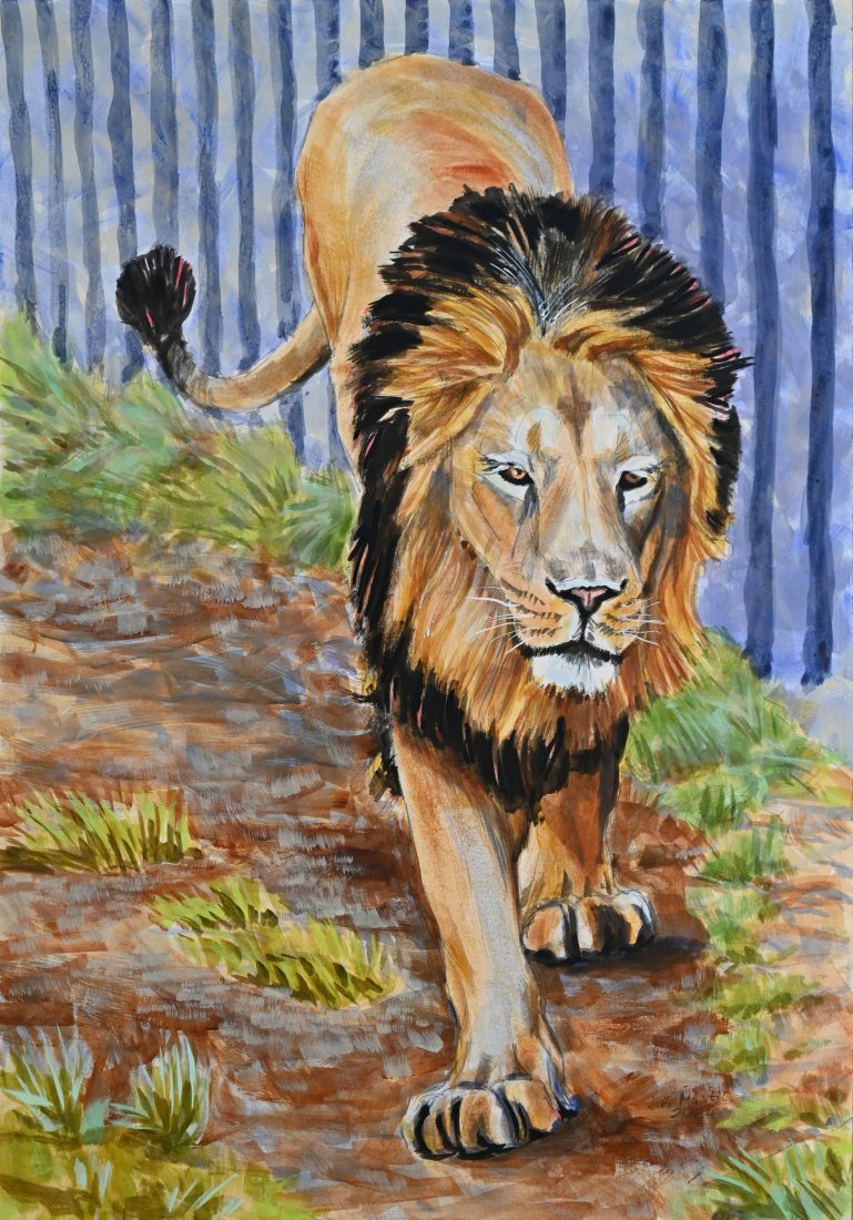 Lev v pražské ZOO
