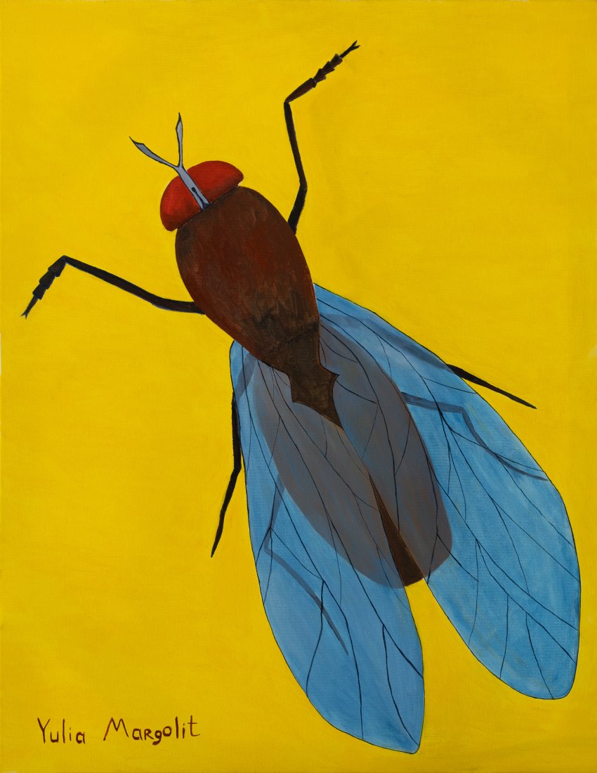 FLY