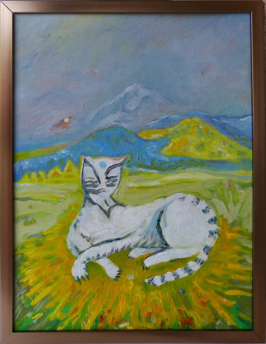 Picassova bílá kočka v Tatrách