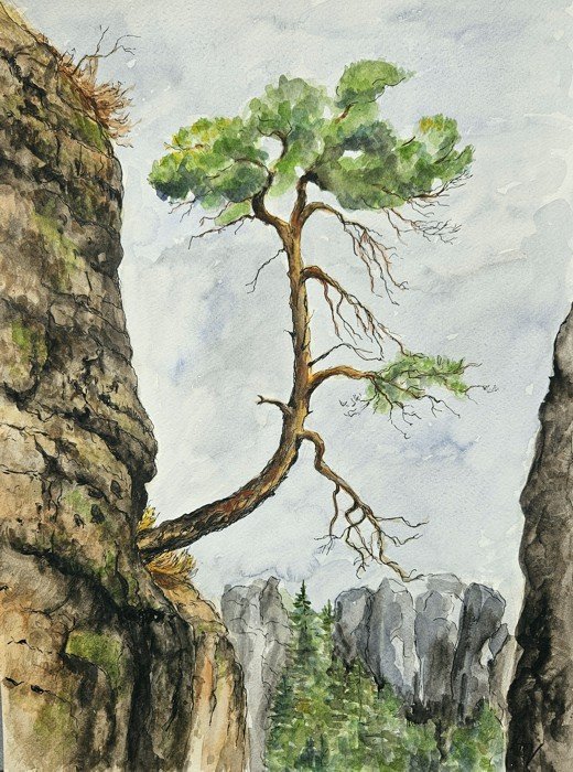 Ve skalách