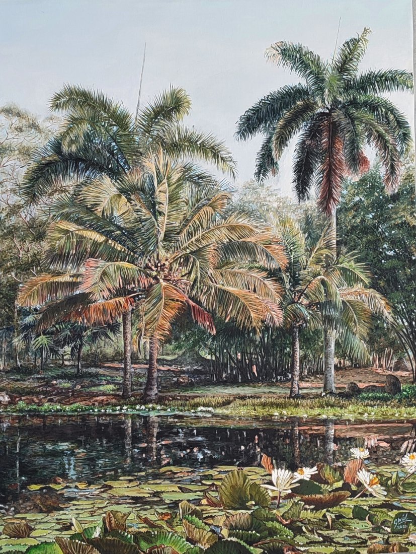 Palmeras y cocoteros; serenidad y transparencia