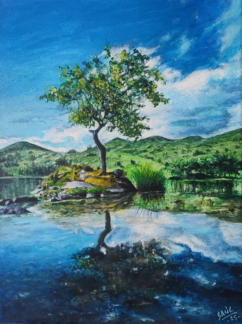 Reflejos del árbol.