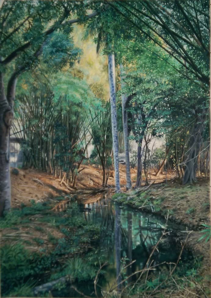 Arroyo escondido