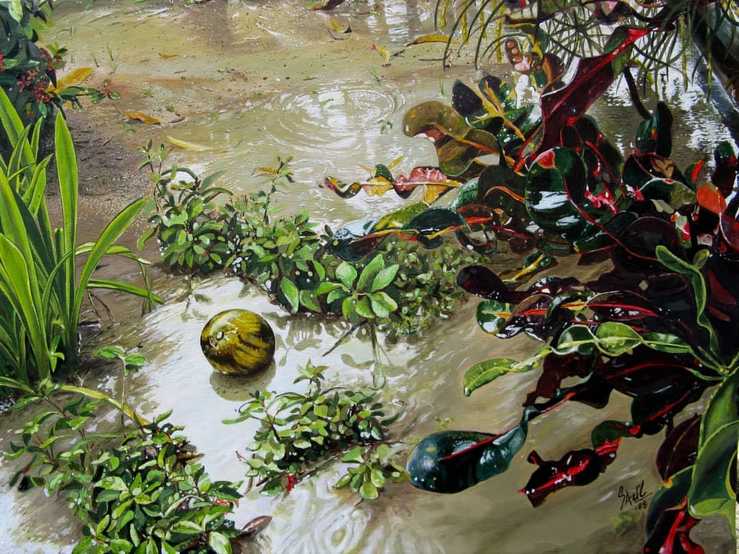 El patio de mi casa 3