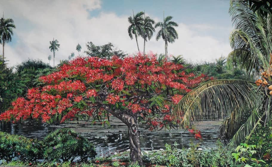 Flamboyán