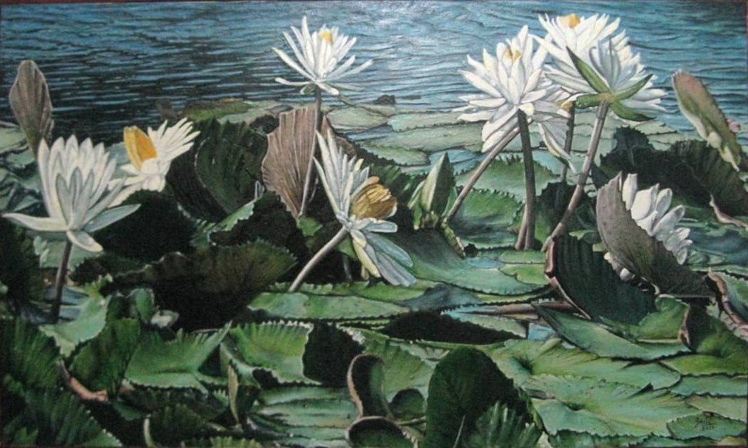 Nenúfar 2