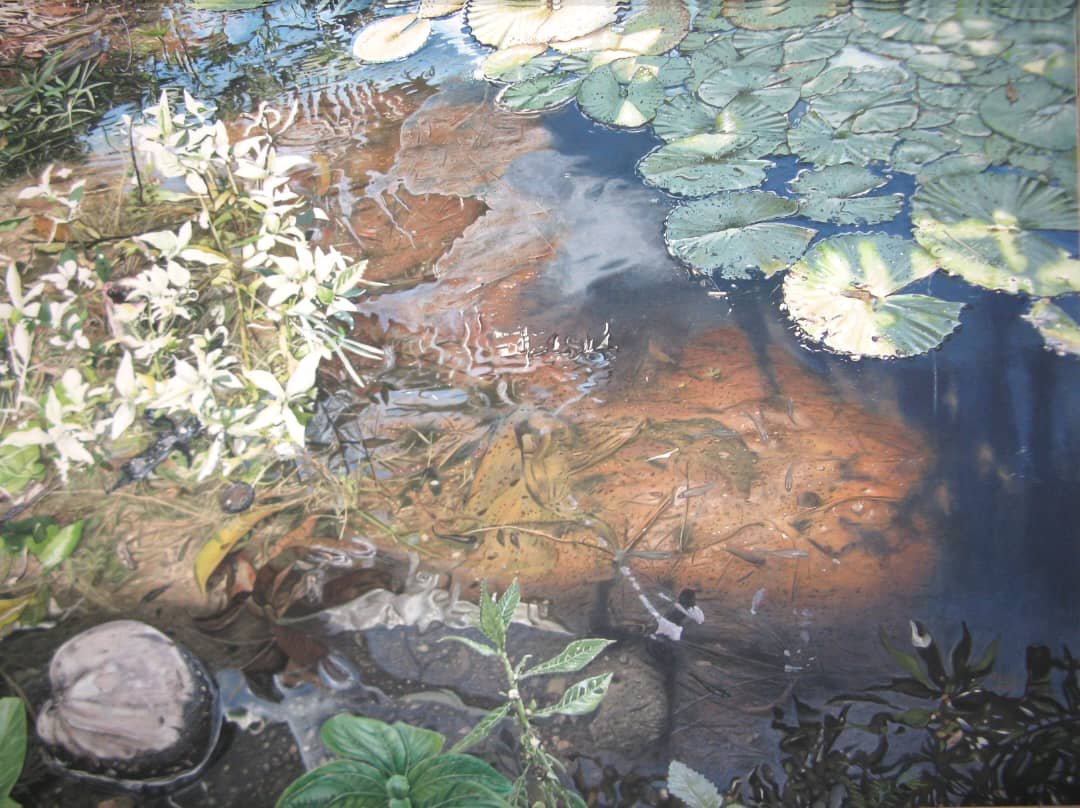 Nenúfar 5, reflejos y transparencias