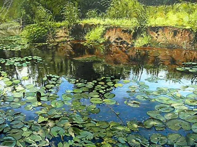 Nenúfar 6, reflejos.
