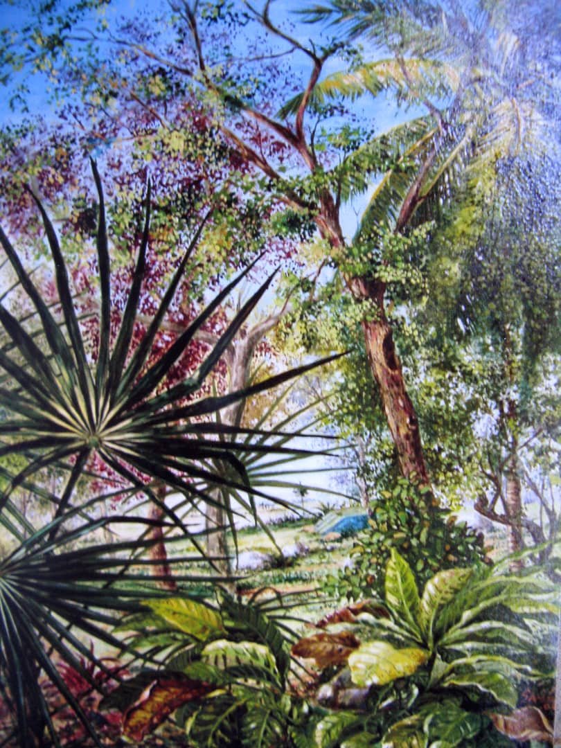 Paisaje cubano 5