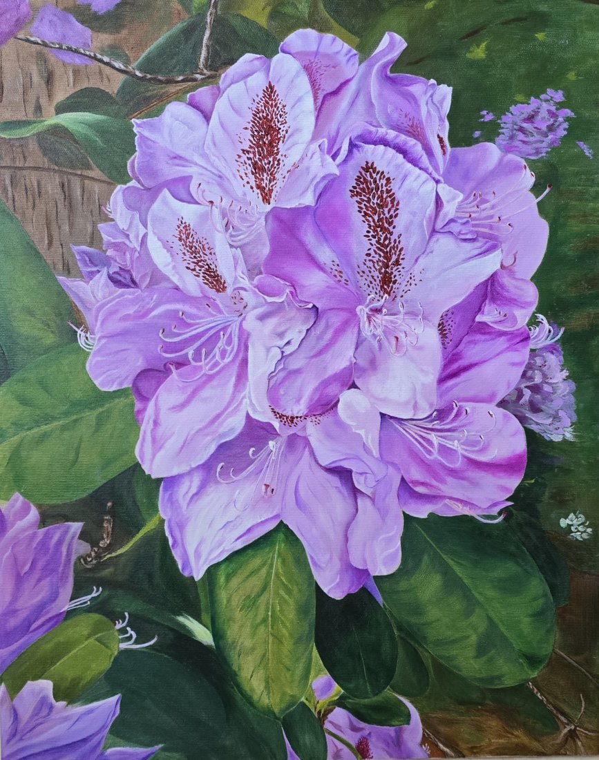 Rododendron I.