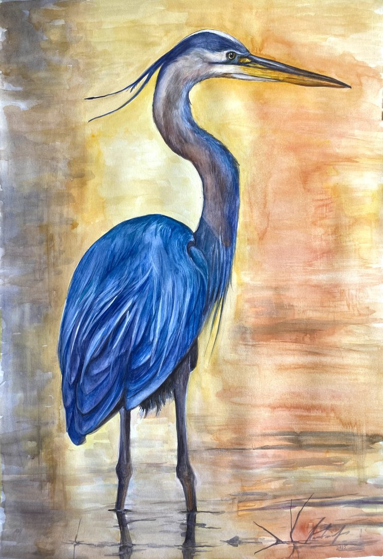 Blue heron