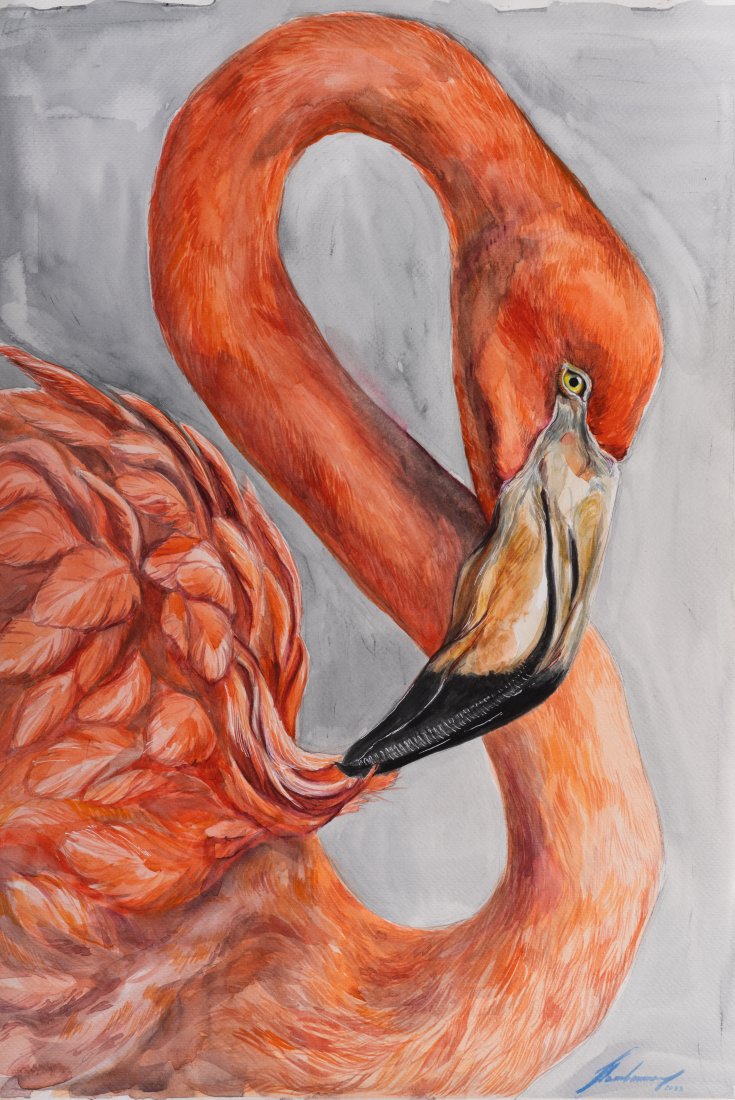Red flamingo