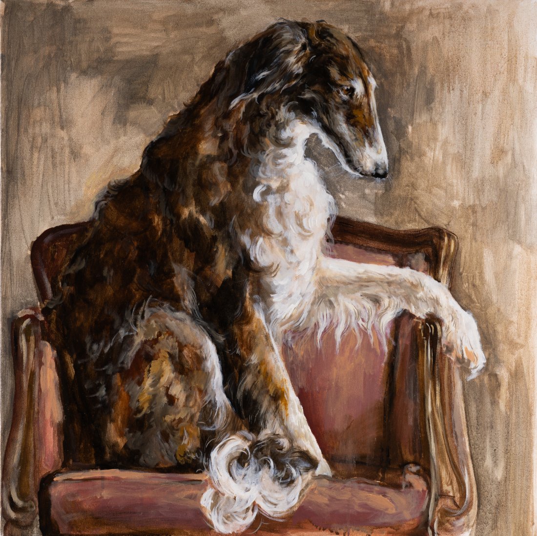 Borzoi