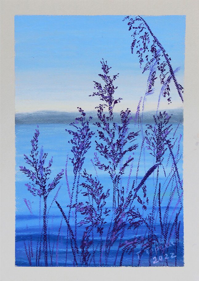 Blue Silence