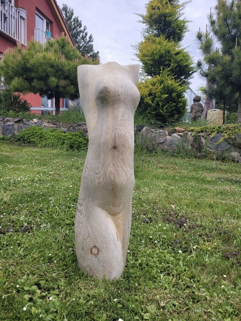 Torzo větší