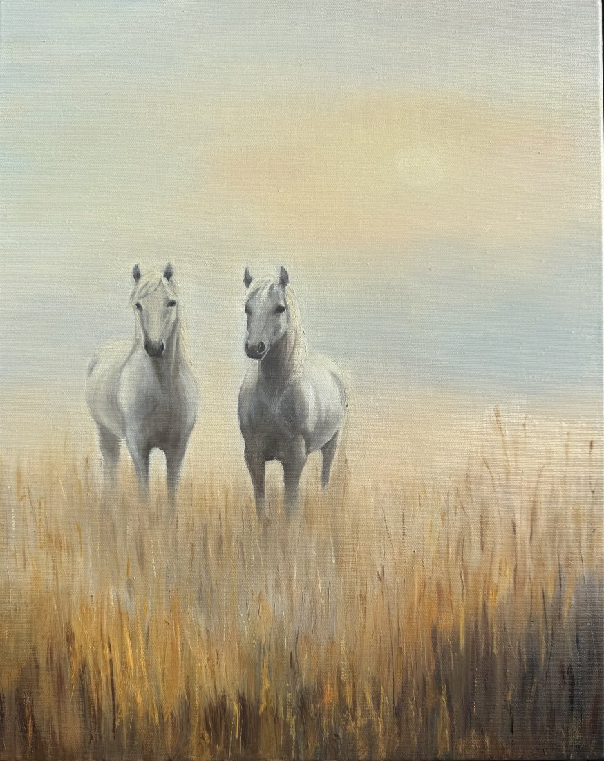 Morning field