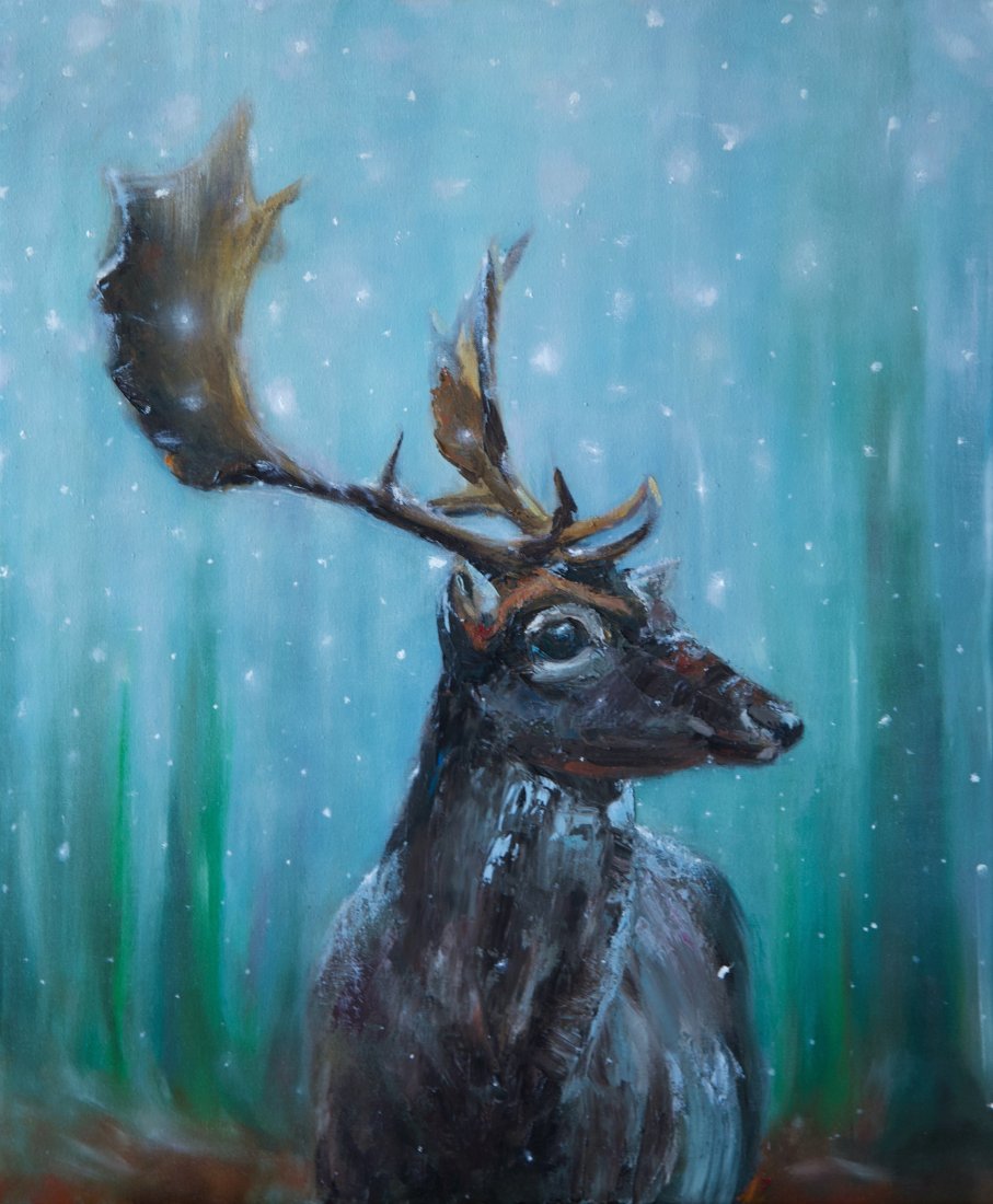 Spirit of the North