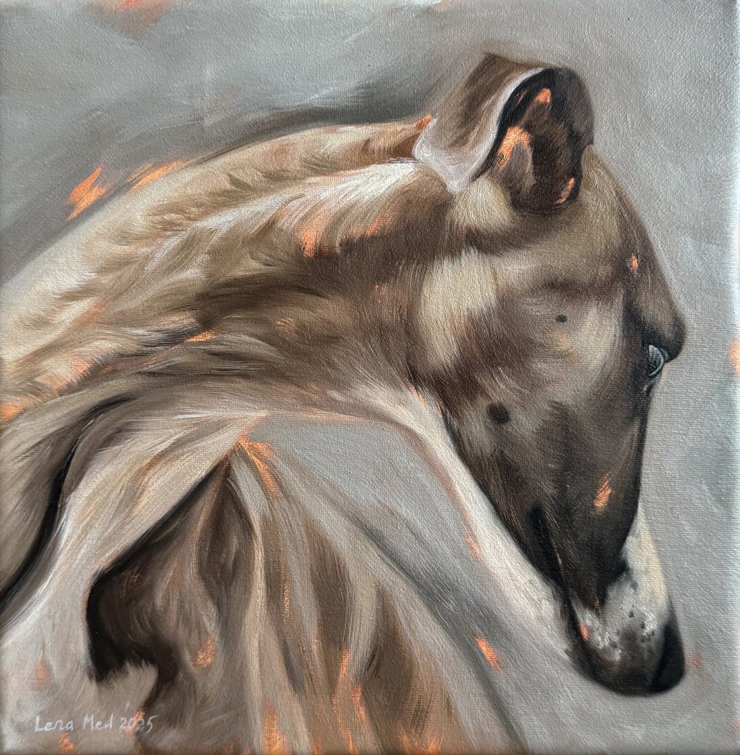Whippet