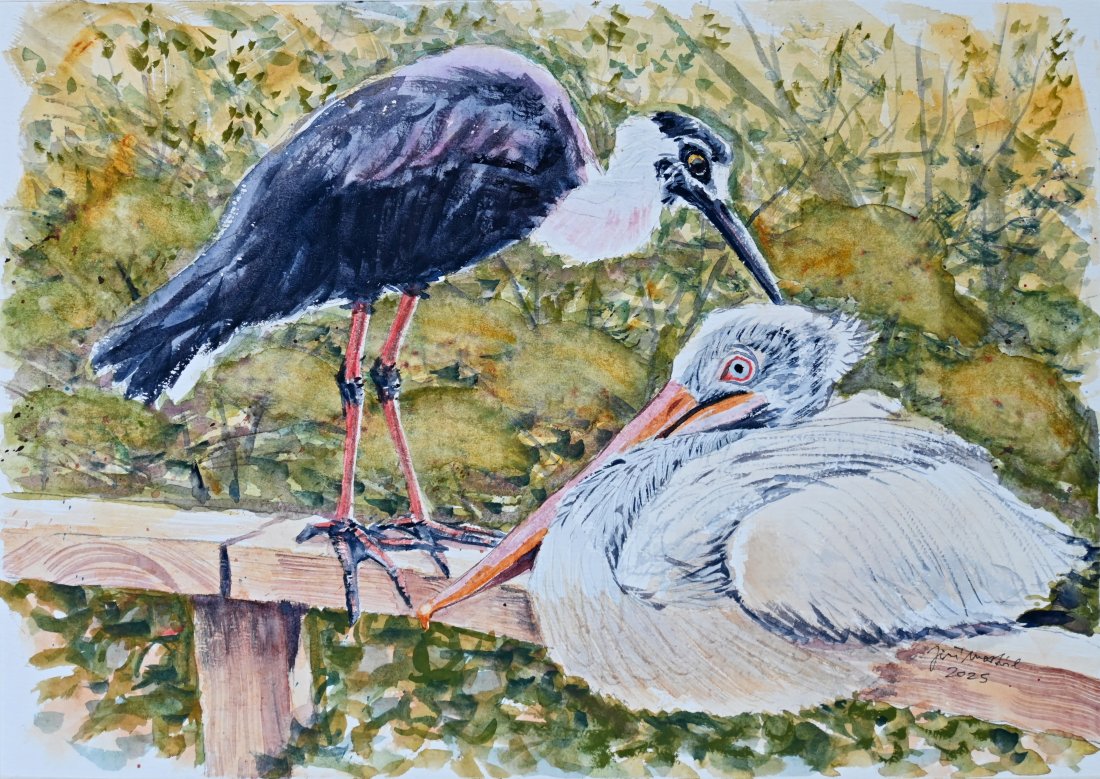 Kamarádi z pražské ZOO