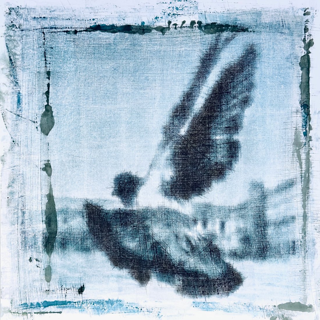 Wings of reflection