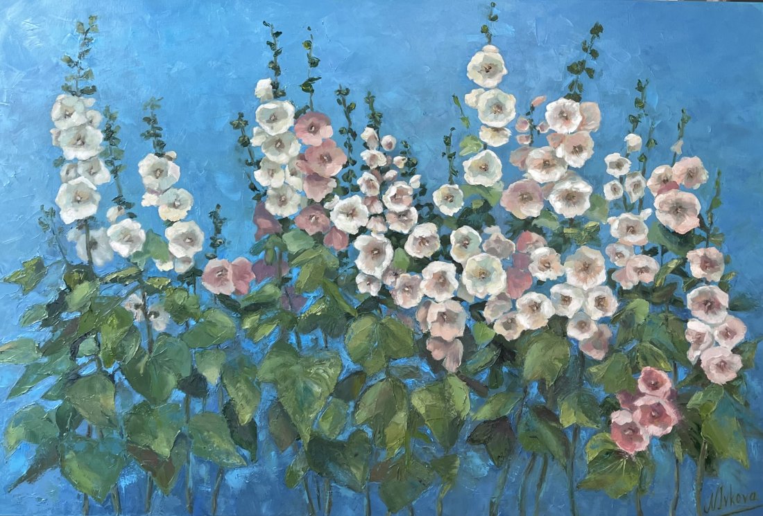  Blooming Hollyhocks
