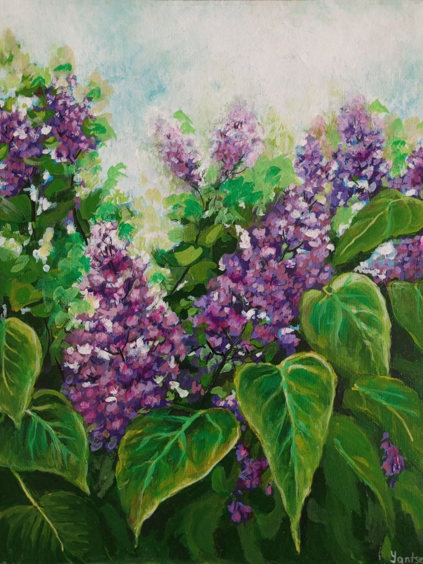 Lilac