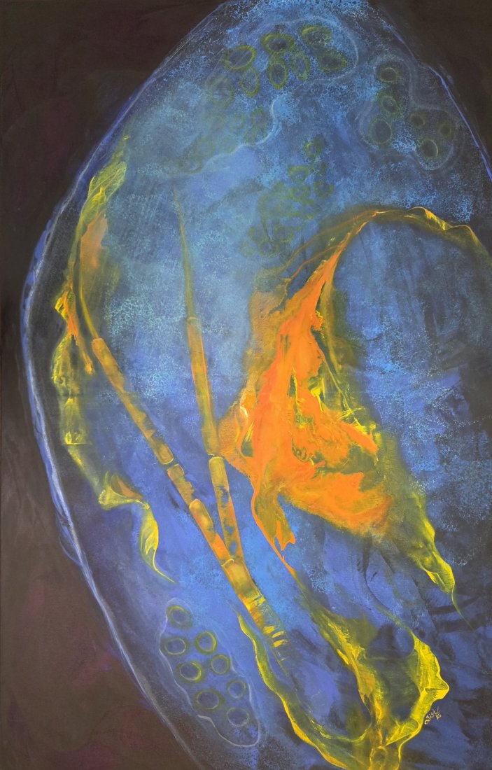 Anatomie hlubin