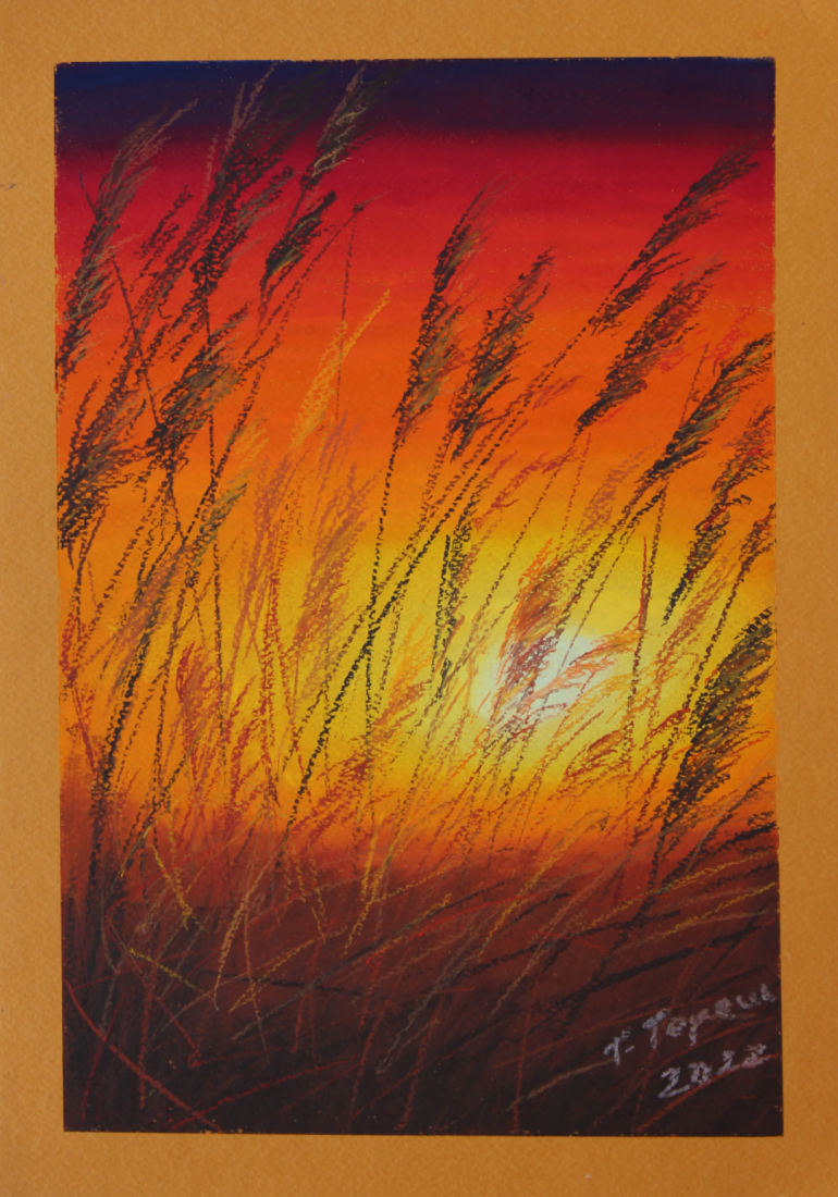 In the hot sunset