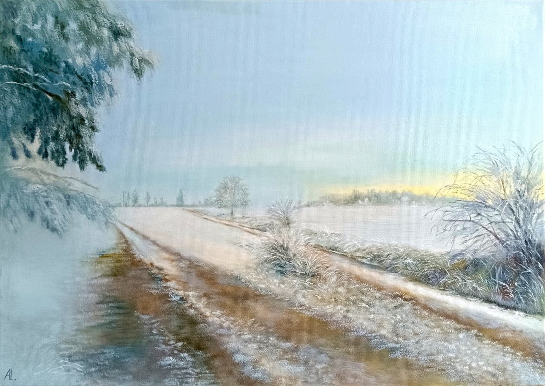 Leden na Vysočině
