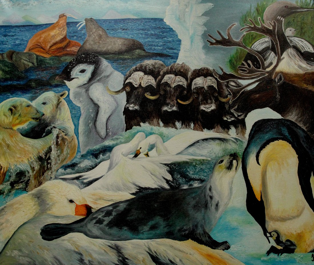 Tundra and Polar Regions