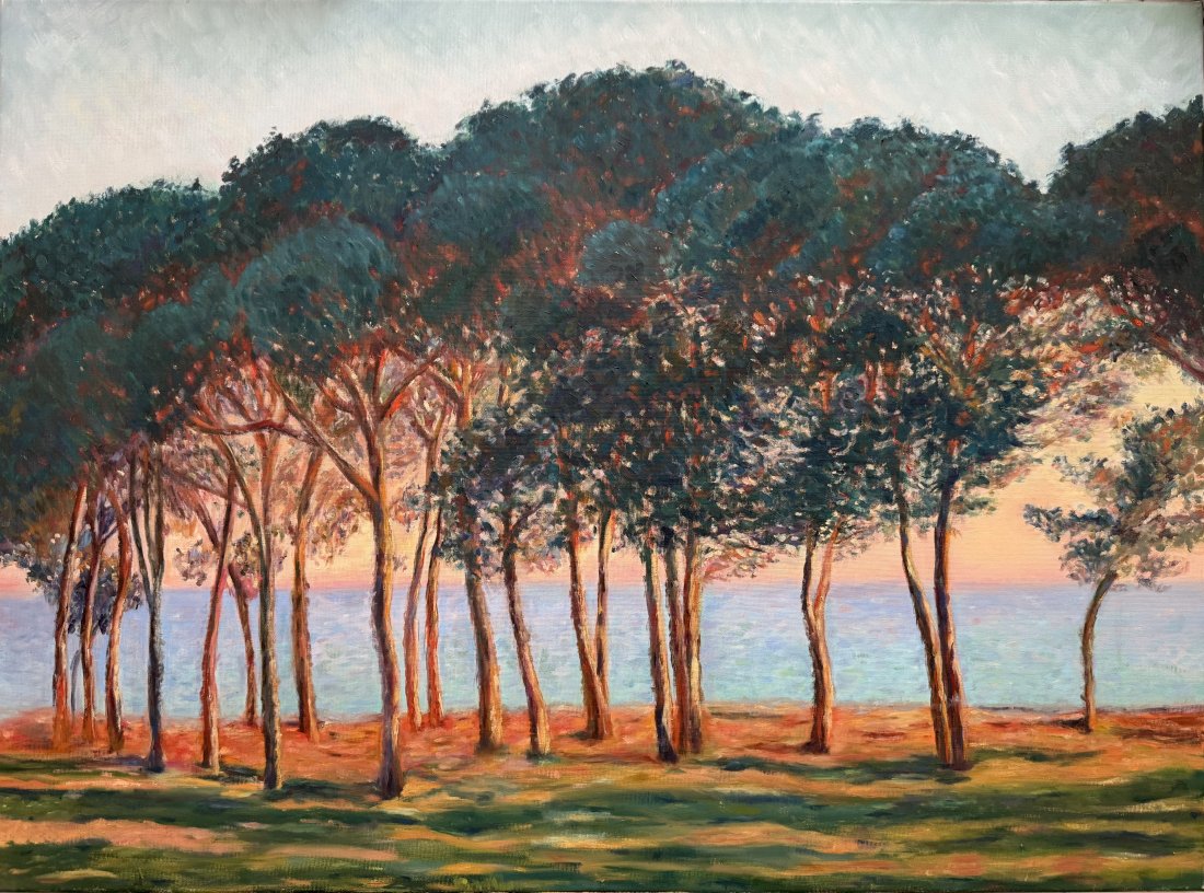 Pines at Sunset
